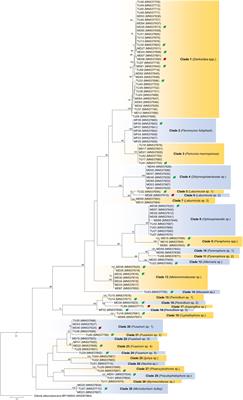 Root-Colonizing Endophytic Fungi of the Dominant Grass Stipa krylovii From a Mongolian Steppe Grassland